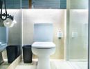 The Do's and Don'ts of Toilet Rootering for Homeowners